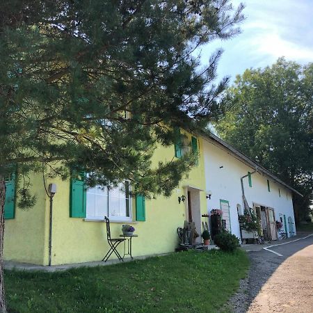 Weiher 1 Villa Rot an der Rot Exterior photo